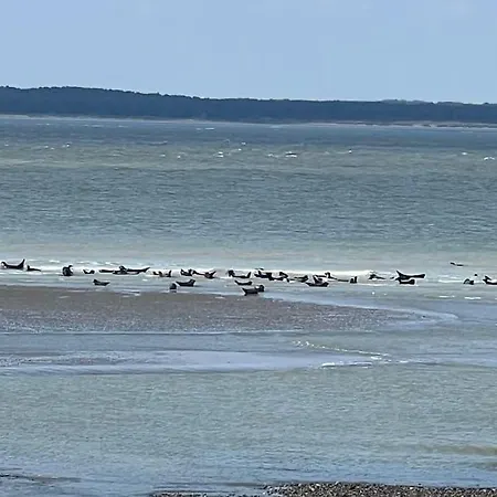 Samson 르트레포르